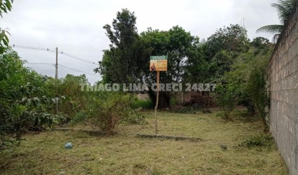 Lote plano com lateral murada 