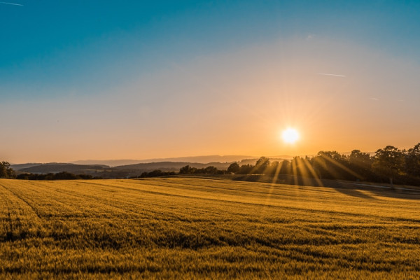 Melhores Loteamentos em Porto Seguro 2026: Guia Completo Para Investir
